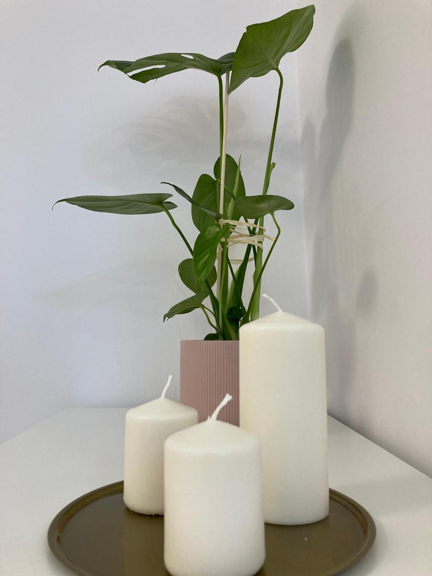 Duo 1 Debniki Apartment 克拉科夫 外观 照片